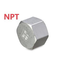 Slutmuffe, 316, 20 bar, NPT