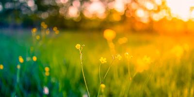 Lukkedage i maj og juni 2025